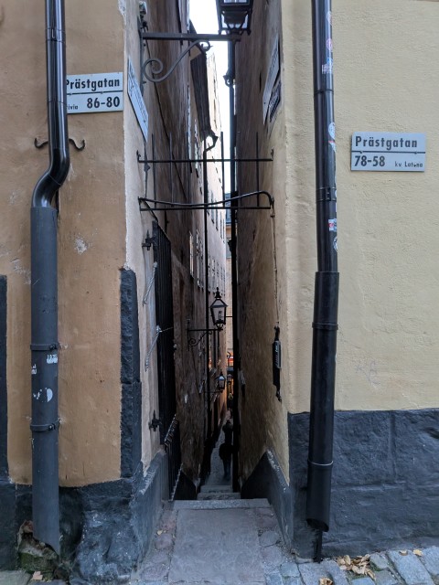 ストックホルムの世界で一番細い小道(マーテン・トロッチグの路地)